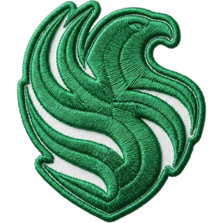 Team Falcons
